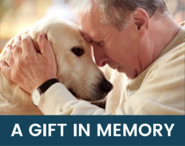 Gift In Memory Image