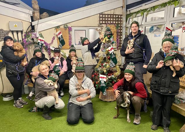 Merry Christmas from the staff - wearing their Arden Grange hats