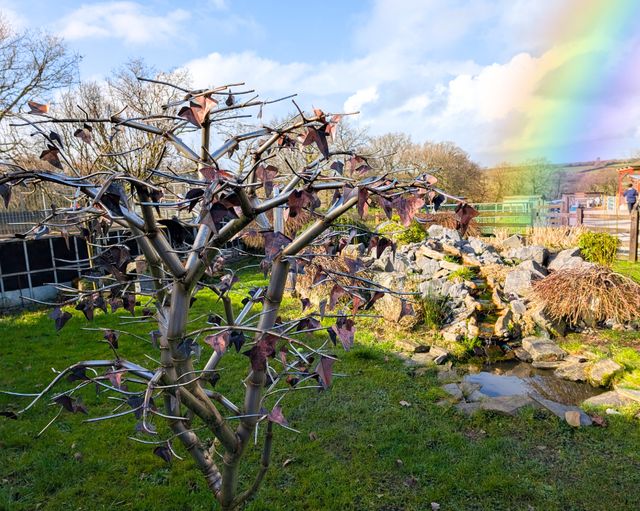 Tree of Remembrance
